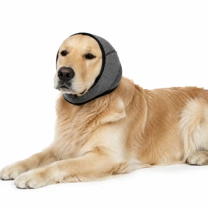 Solifur™ | Más tranquilidad para tu perro
