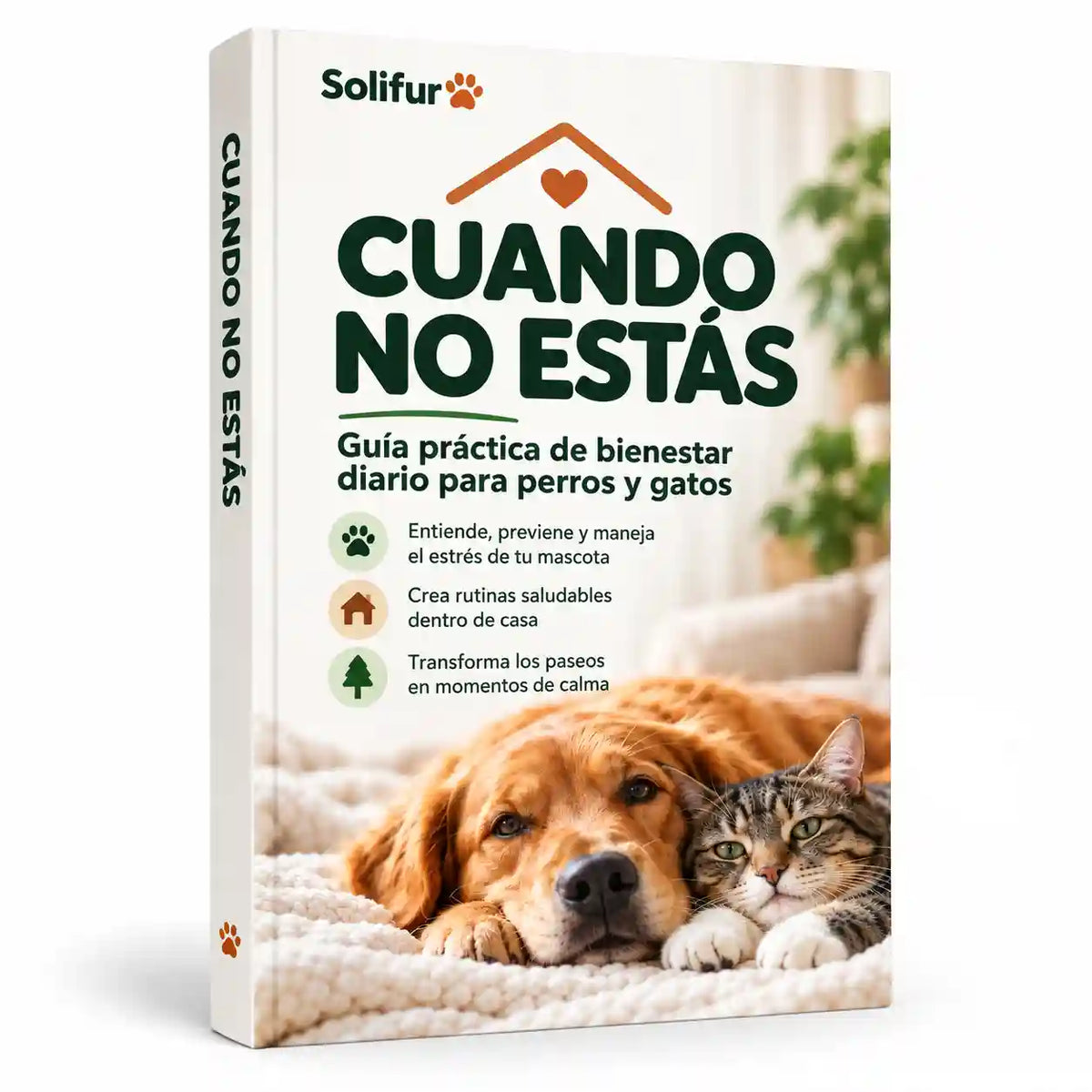 Solifur - Cuando No Estás